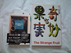 shopping_items_from_book_market_in_small-sized_box.JPG