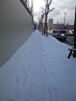snow_on_walking_road_to_south_hiragishi_sta_in_sappopro2010-03-28.JPG