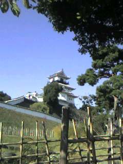 kakegawa_castle20071125.jpg